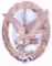 German World War II Luftwaffe Radio Operator / Aerial Gunner Badge