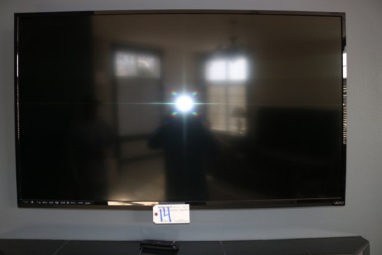 Vizio 55" LED TV