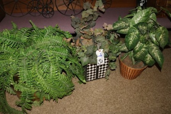 3 Plastic fern plants