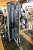 Life Fitness FT Series Bicep/Triceps machine