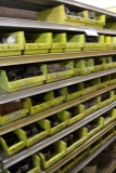 All to go - 7 Shelves of galvanized inventory