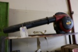 Homelite blower