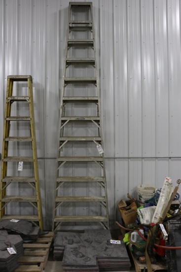 12' Werner aluminum step ladder