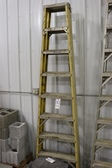8' Werner fiberglass double sided step ladder