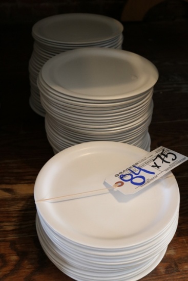 Times 75 White melamine 9" round plates