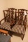Times 4 - Padded dining chairs