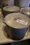 Times 2 - 20 quart stock pots with lids