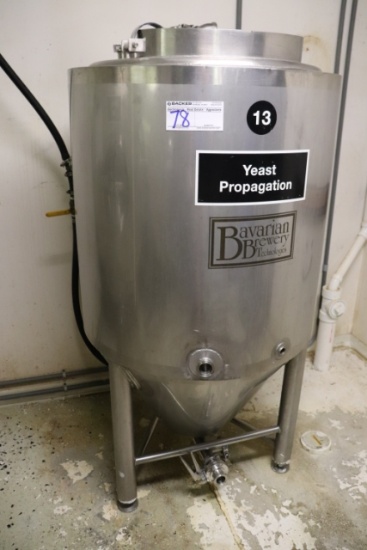 Bavarian stainless 2-barrel yeast propagation tank with control