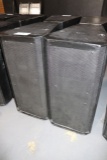 Times 2 - PAS RS 2.2 double 15” full range speakers - good units