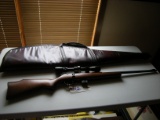 Marlin Model 25M Bolt action 22 magnum rifle with Bushnell overspeed sights