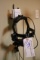 Proper HWO binocular indirect ophthalmoscope