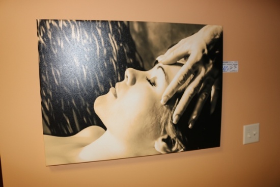26" x 36" canvas spa print - digital print