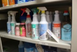 Shelf to go - toilet cleaners - misc cleaners