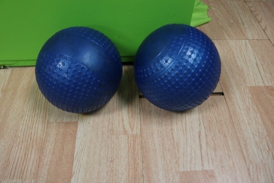 Times 2 - 8 lb. blue medicine balls