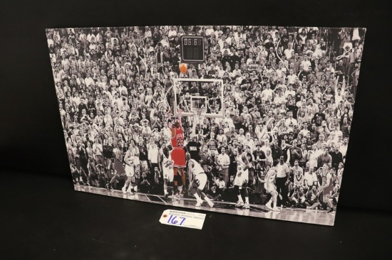 22" x 34" Jordan canvas print