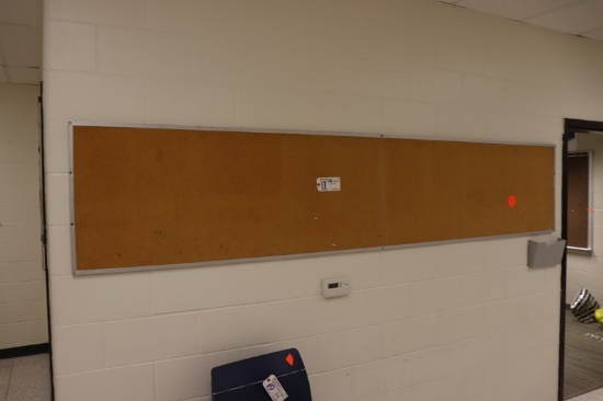 2' x 10' cork board