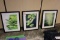 Times 3 - 24 x 30 wood framed wall prints