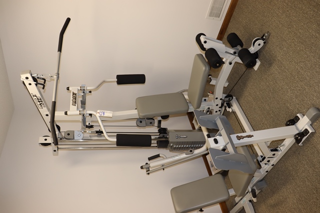 Hoist H310 cable multi purpose home gym weight Proxibid