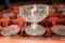 Times 4 - Dish boxes of 114 sherbet glasses