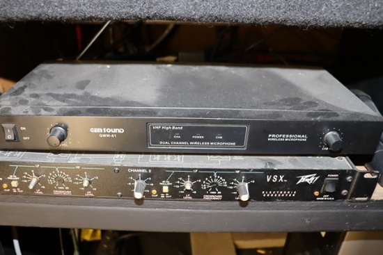 Gemsound wireless microphone