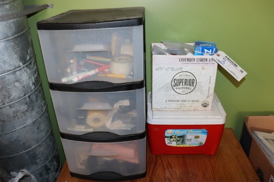 All to go - cooler, Ziploc bags, plastic organizer