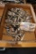 Times 8 - Dozen of dinner spoons