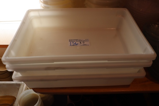Times 3 - 16" x 24" x 5" food storage containers - no lids