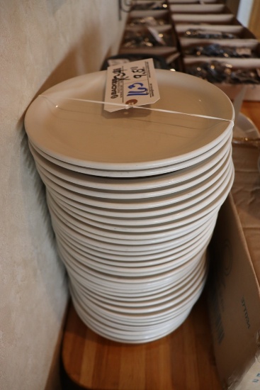 Times 34 - 9.5" Superior dinner plates