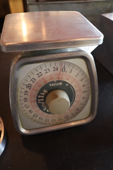 Taylor stainless 25# portion scale