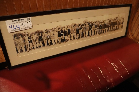 12" x 41" framed swimsuit print