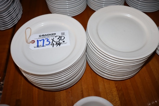 Times 30 - Oneida 9.75" white plates