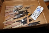 All to go - 22 steak knives