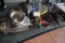All to go - inset pans, skillets and more