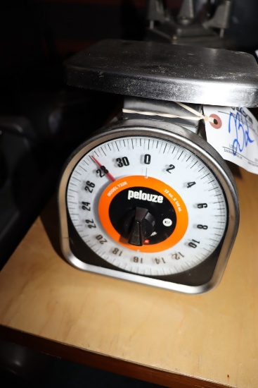 Pelouze 32 oz portion scale