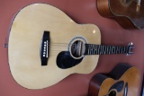 Virgin Guitar