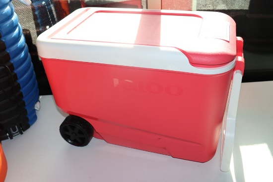 Igloo portable cooler