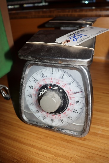 Taylor 32 oz portion scale