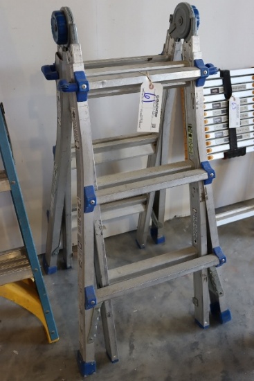 Cosco multi purpose aluminum ladder