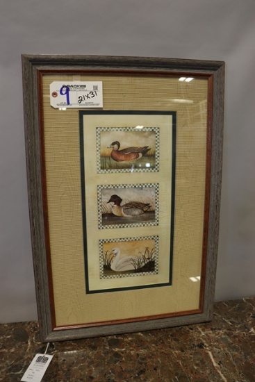 21" x 31" Paragon Picture Gallery American Widgeon 7271 wood framed wall pr
