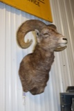 Ram mount