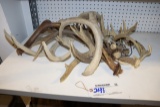 All to go - Mule Deer & whitetail antlers