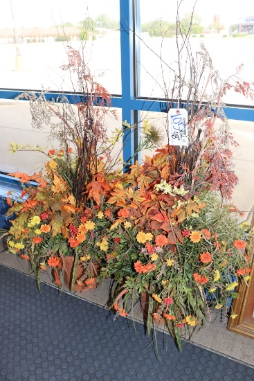 Times 2 - 48" tall fig plants