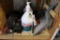 All to go - sanitizers, brushes and more