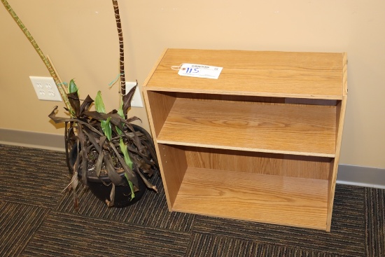 24" wide book shelf and plant