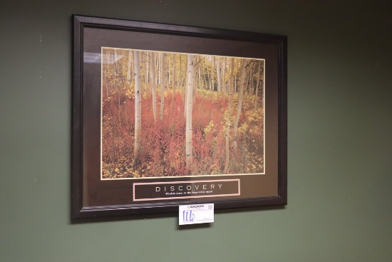 24" x 30" wood framed Discovery print