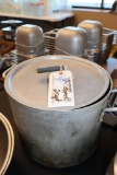 Aluminum 2qt stock pot with lids