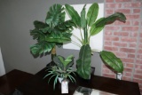 All to go - floral/plant décor