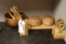 All to go - Wood kitchen display décor