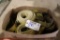 Box to go - Nylon straps & toe ropes