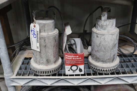Pair to go - Flotec 3/4 HP sump pumps